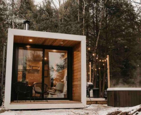 Aux Box Muskoka Modern Muskoka Bunkie